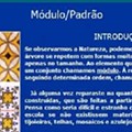 módulo padrão.jpg